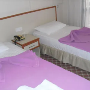 4* Otel Kerman